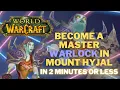 Warlocks guide to the battle for mount hyjal everything you need to know phase 3 TBC Classic