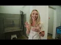 Inside petbar North Dallas Luxury Dog Spa Experience Self-Wash Grooming More
