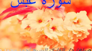 الشيخ أحمد محمد طاهر سورة عبس  الشيخ أحمد محمد طاهر سورة عبس