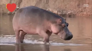 الله اكبر ان النفس ظالمه 