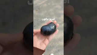 ترکید  ترکید
