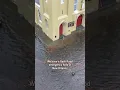New Orleans Flash Flood Emergency Roads Cars Underwater