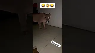 أنا رايح فين أنا راجع تاني يا حبيبي 