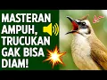 Download Lagu Suara trucukan gacor ropel ngalas buat pancingan trucukan agar bunyi jadikan burung trucuk gacor