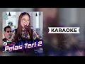 Download Lagu Alvi Ananta - Pelas Teri 2 Karaoke | Wes Di Rabi Uwong koplo TERBARU 2021