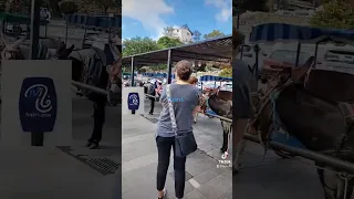 اللي تلف ليه شي حمار يجي يقلب عليه هنا  اللي تلف ليه شي حمار يجي يقلب عليه هنا