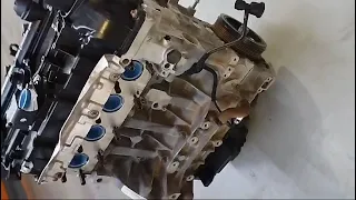                     دندنها