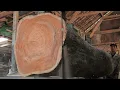 Lagu RARE AND LARGEST 100 YEAR OLD TEAK WOOD! The process of turning wood into the most expensive sheets 