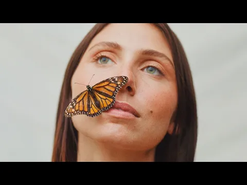 Download MP3 Lily Meola - Butterfly (Official Lyric Video)
