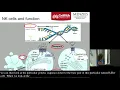 Immunological Calcium Signalling Define