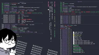 Buffer Overflows A Symphony of Exploitation