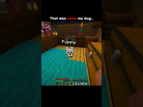 Not my dog 😭🙏