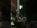 Download Lagu sajadah merah