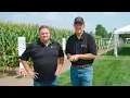 Managing Inputs For Increased Profitability Becknology Days