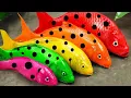 Download Lagu Best Of Small Fish Recipe | MINIATURE Fish Cooking Made EASY with Simple Recipe