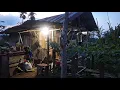Download Lagu Finally, Electricity Back to Normal in the Garden, Real Life of Garden Youth