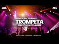 Download Lagu DJ TROMPETA GACOR!! ( Awan Axello Remix )