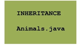 Java Inheritance explained with Animals java