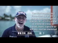 Manatee Zones What are they and why should you slow down 94 Michael A Haber Miami Lawyer