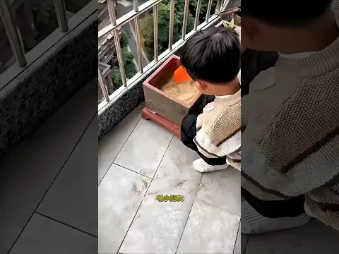 मम्मी के हाथ में चूहे का पॉटी लग गया😳 #Catsoftiktok #CatLovers #cat #cute #FunnyCats #catcartoon