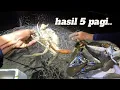 Download Lagu KARAU JARING/PUKAT 5 PAGI..#persisiranpantai #baganlalang #carilauk