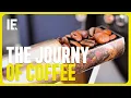 Download Lagu This is how your coffee made it to your table