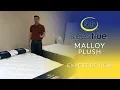 Serta Sleep true Malloy Plush Mattress Expert Review