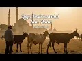 Download Lagu Lagu Instrumental Idul Adha 2025 - Suasana Tenang \u0026 Damai untuk Keluarga❤️🌙