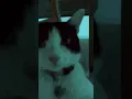 L'Amour Toujours - Gigi D'Agostino (Tanzen vision) (sped up)