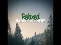 Waterside Bird Ambience