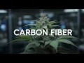 Cannabis Bible Chapter 17 Carbon Fiber Strain - Full Review