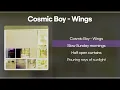 코스믹보이(Cosmic Boy) - Wings (Feat. slchld, Seori) [신곡/가사/lyrics]