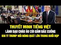 Download Lagu THUYẾT MINH TIẾNG VIỆT: TT Trump '1 CÂN 7' nhà lãnh đạo châu Âu trong cuộc họp tại Phòng Bạch Ốc!