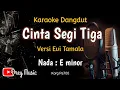 Cinta Segitiga Karaoke Dangdut/Versi Evi Tamala/Tanpa Vocal/@dreymusic6402