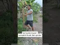 Download Lagu video lucu yang lagi viral #videolucu #komedi #lucu #ngakak #fyp #sarimenchanel