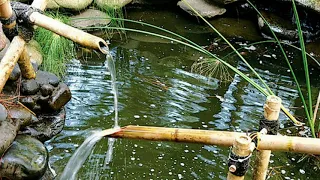 relaksasi suara air dan jangkrik