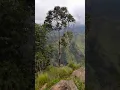 Download Lagu Ella Rock,Ella | Srilanka |🇱🇰 | Heshan Info