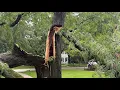 Naperville responds to tree damage power outages after Tuesday storms