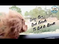 Best Friends Bed Biscuit Greensboro NC Pet Resort Dog Cat Boarding Daycare Training Grooming