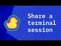 How to share your terminal on a GitDuck call - Tutorial