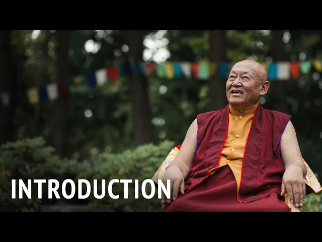 Introduction | Drikung Chetsang Rinpoche