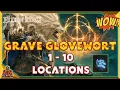 Elden Ring Grave Glovewort 1 2 3 4 5 6 7 8 9 10 Great Glovewort 1-10 Easy To Follow Locations Guide