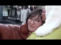 OTAKU HOT GIRL (Japan BTS)