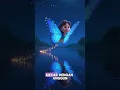 Lagu ‼️ Petualangan Kupu-Kupu di Malam Hari yang Penuh Misteri” #ceritainspiratif #dongengindonesia