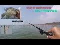 Download Lagu SPOT INI BAKALAN VIRAL, WGM ST WURYANTORO, IKAN 345 ANTRI MAKAN LUMUT #fishing #fish #mancing