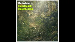 mashobane nkosi ngifihle