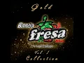 Sal con Limón - Banda Fresa Roja