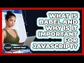 What Is Babel And Why Is It Important For JavaScript - JavaScript Toolkit