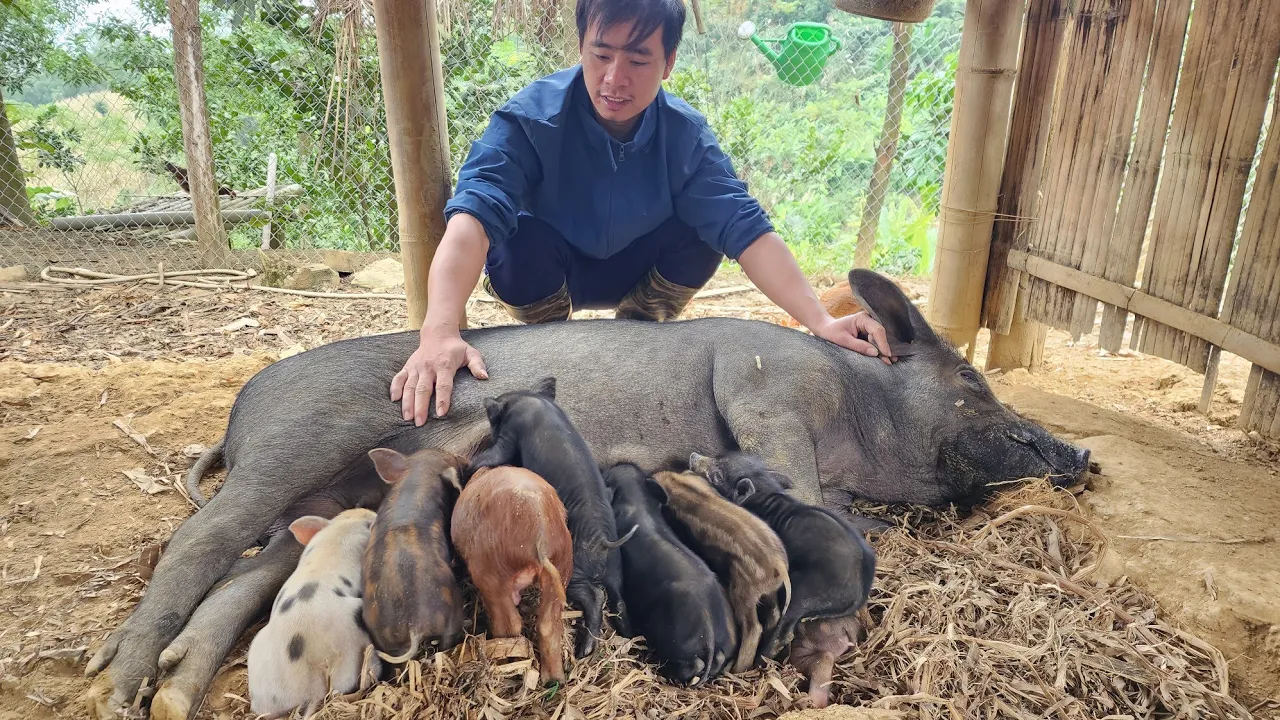 How Jhony Keeps Farm Animals Warm, Building a Life (Ep 231)