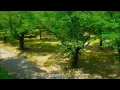 宮野真守 『カノン』